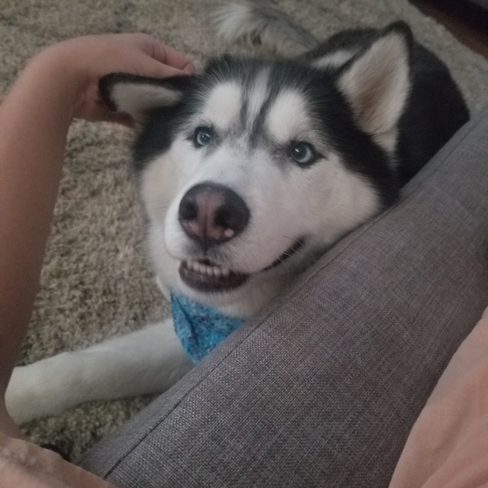 Meet your Posher, Morgan